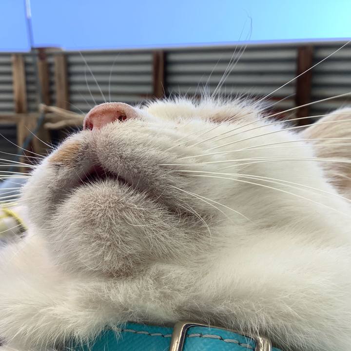 74e86ab5 7ef3 4a64 b0c4 15d57b53ba90 1605429328574