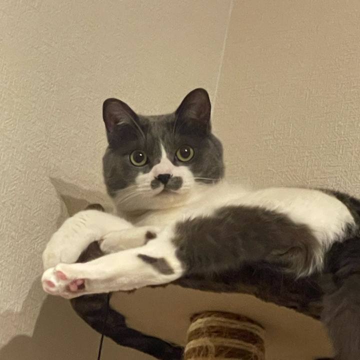 74e88169 f964 40f3 976c 2fc06208be03 1720008589975