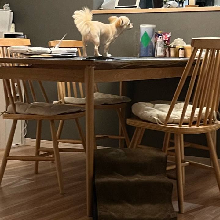 74e88eea 4439 4163 b5a0 e3dcf9c2c581 1756300520440