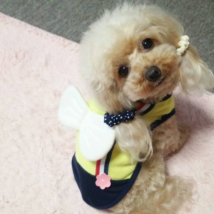 74e8bdd9 6aea 4c09 bada 3c89fc6ee26d 1561780499421