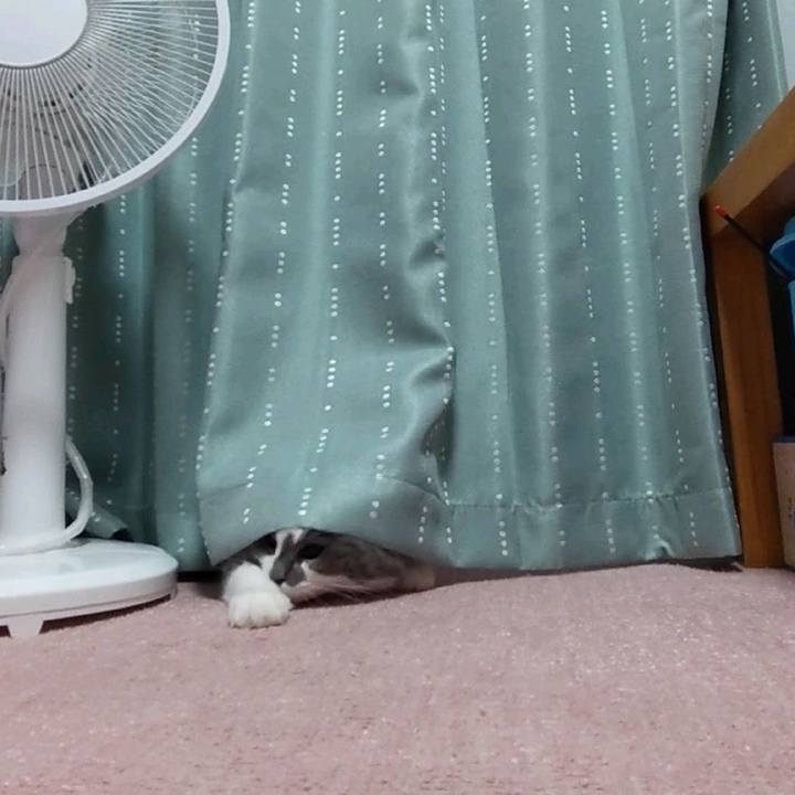 74e8c1c5 b7a0 40d4 84a4 2887ac4e12fb 1748513739112