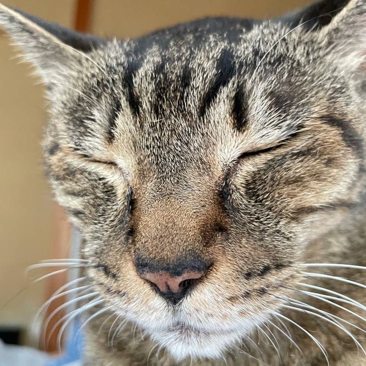 74e8c1f5 3bfe 4e07 ba01 0c52f7c1b4fc 1625882756603