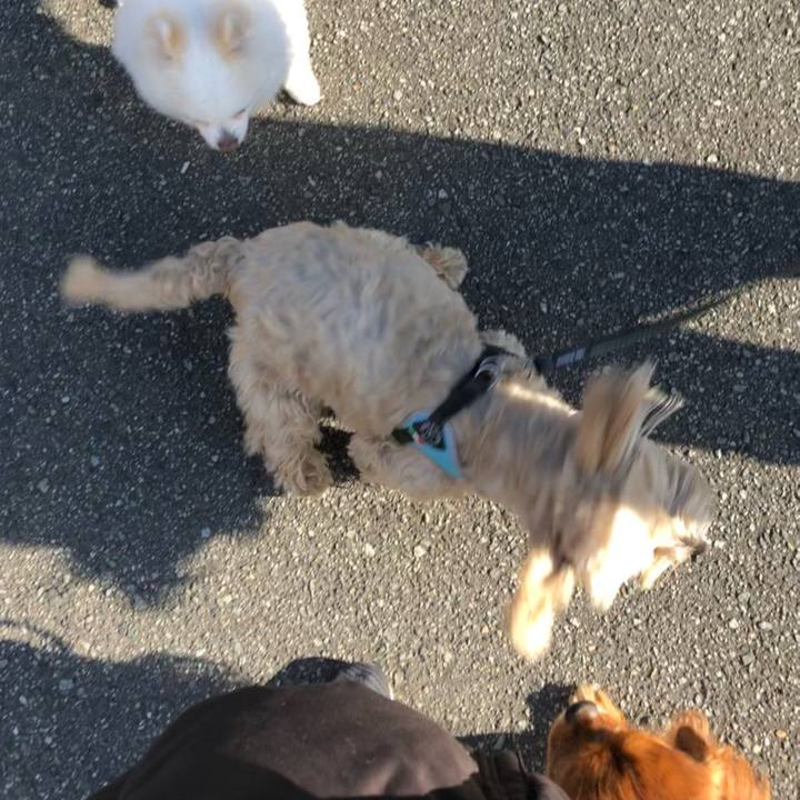 74e91bac ec10 4c7c 9d12 8e0f6a2a25e2 1645836309574