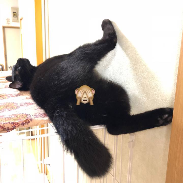 74e92433 2bba 4412 b07b e73c9012f8da 1538871674863