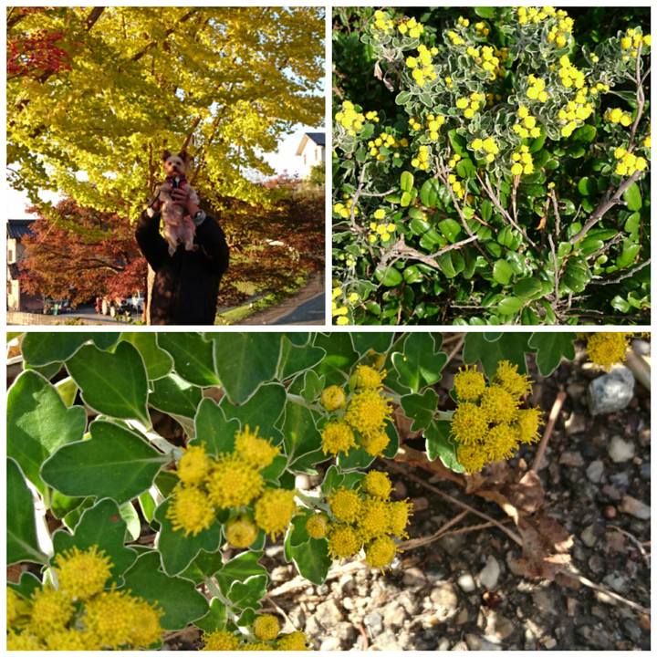 74e93236 13c6 4fe7 926b 20fb799c0ebb 1511440698913