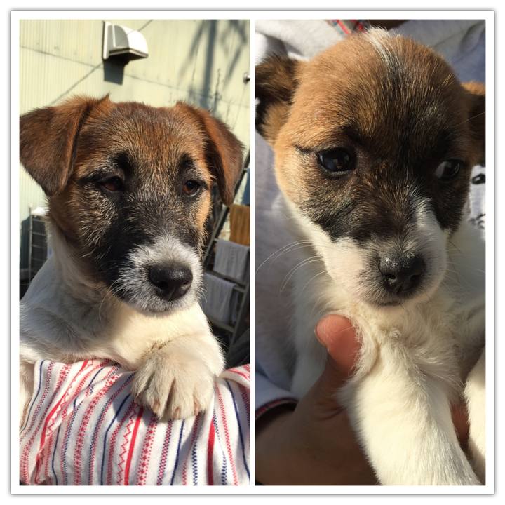 74e938b8 0ade 49cb a9d1 1a6960f02b1b 1520120312628