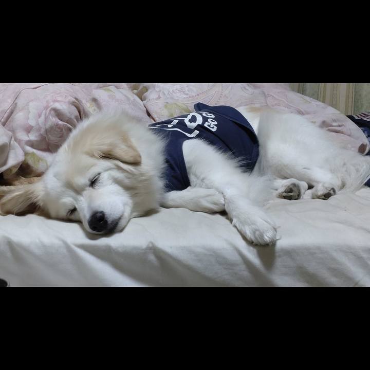 74e94f80 8269 4833 8185 d8a107756ec9 1644887889912