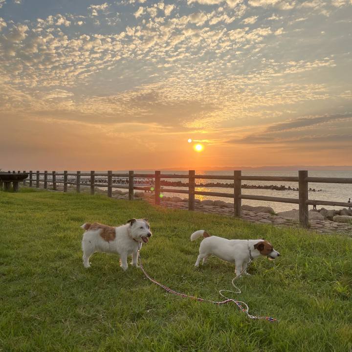 74e97984 5b12 49dc 9e49 5aab111ce7a2 1725873196503