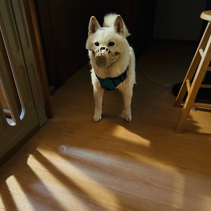 74e99bd4 5668 46a0 af9b 37e6870b4ef6 1683331680529