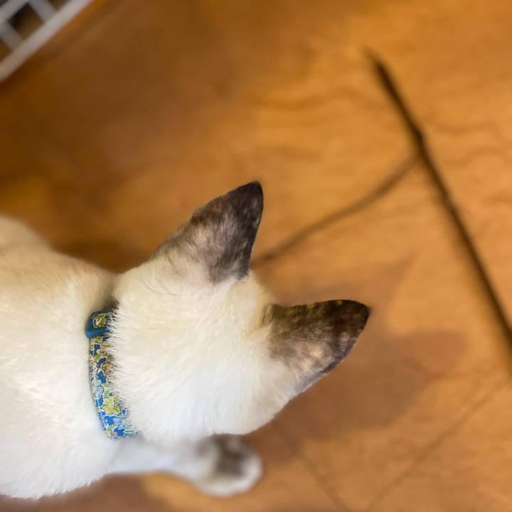 74e9afa7 39ad 466f 9012 ac3d119fbee1 1630833182598