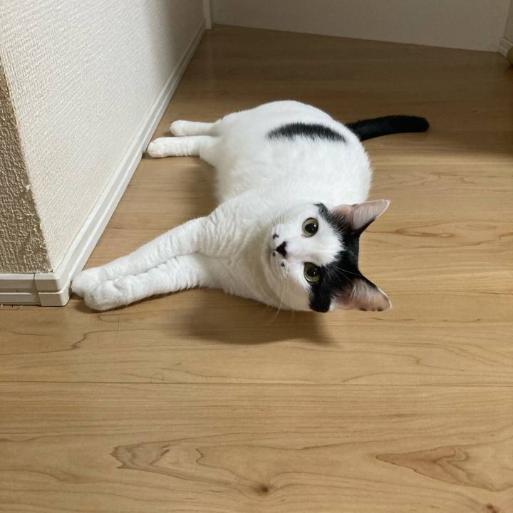 74e9c534 45be 449b a9de 607d6d8d3ef6 1758918227824