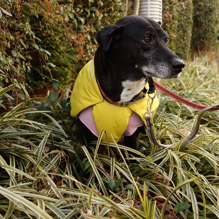 74e9e300 8722 40c1 8b6e 2a8ad856c37a 1739322132583