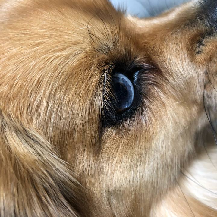 74e9e8b0 bb35 4bf4 87c5 05bbe2af9093 1550315548221