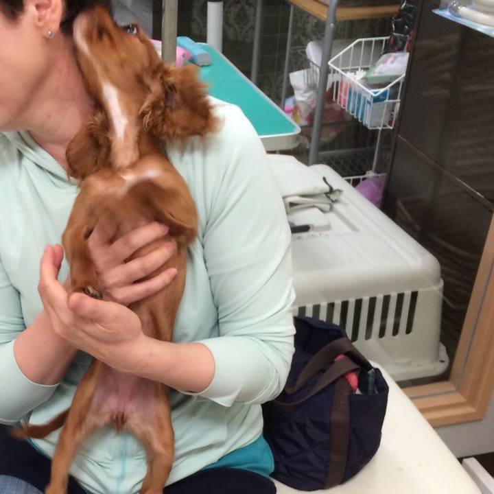 74e9f2d0 9c05 4ebc 83df aafa763adf68 1559772292637