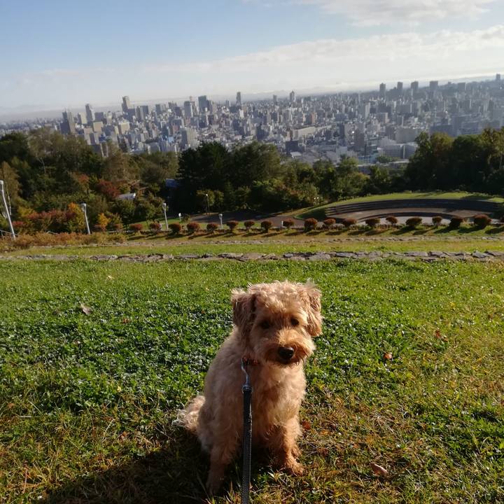 74ea6173 1a70 4f77 8a60 2a25c8eed7f2 1538181597372