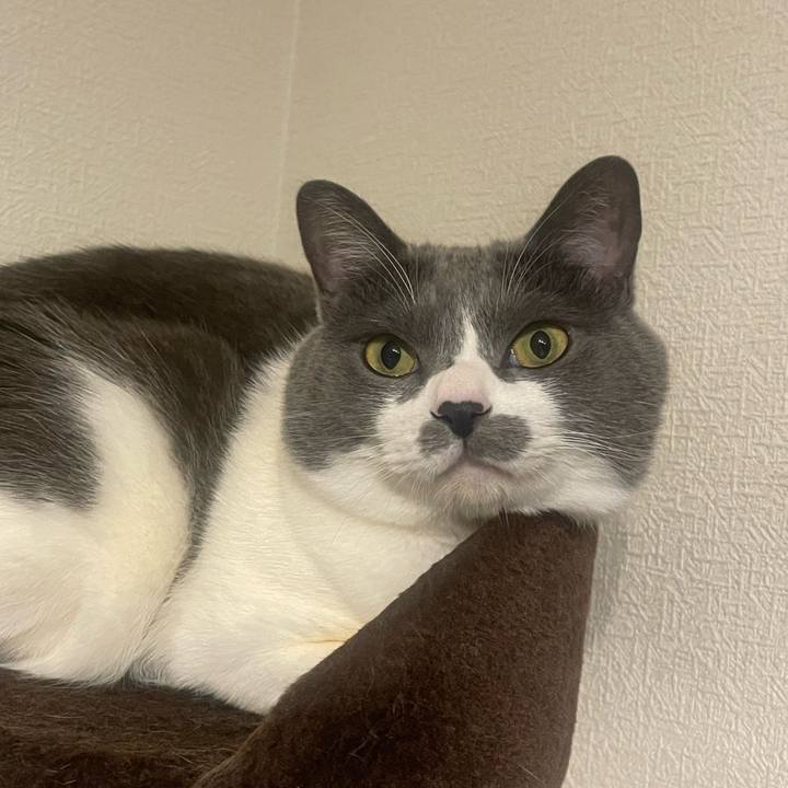 74ea835d 315e 4fb7 9231 8789b66070ce 1737899045700