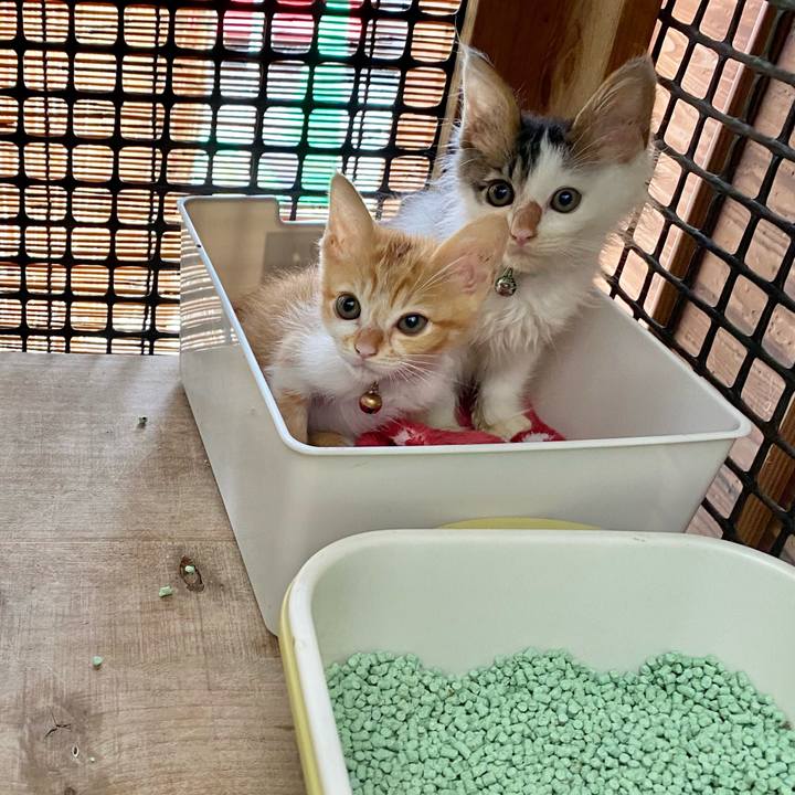 74ea9e67 0f2f 4e45 be44 7c931be932e6 1629332683224