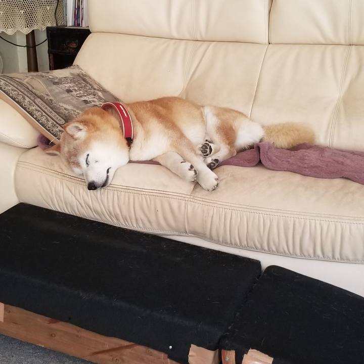 74eab55c 7a88 4754 b12e 7a6549861e2f 1752285196677