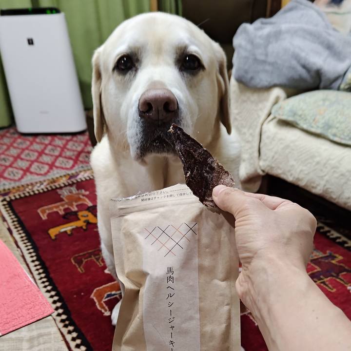 74ead312 9b6a 4b19 a702 e84bbdc37bb1 1740921420365