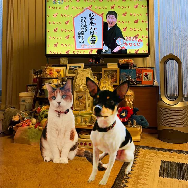 74ead6bc dcf4 414b 819f 3ebab6a418eb 1767564667950