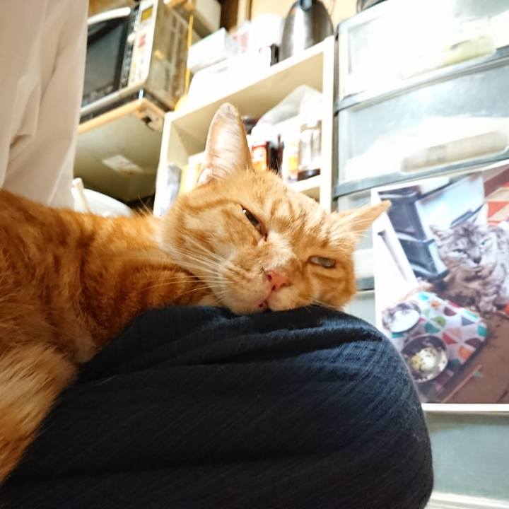 74eaeaa1 3fed 470e b896 9ecd0a95a4a4 1600634549267