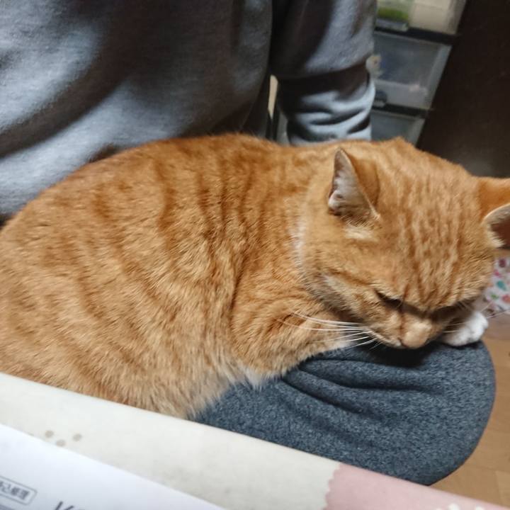 74eaf8b0 1896 4528 bd95 6d1dbdc53c64 1607979717647