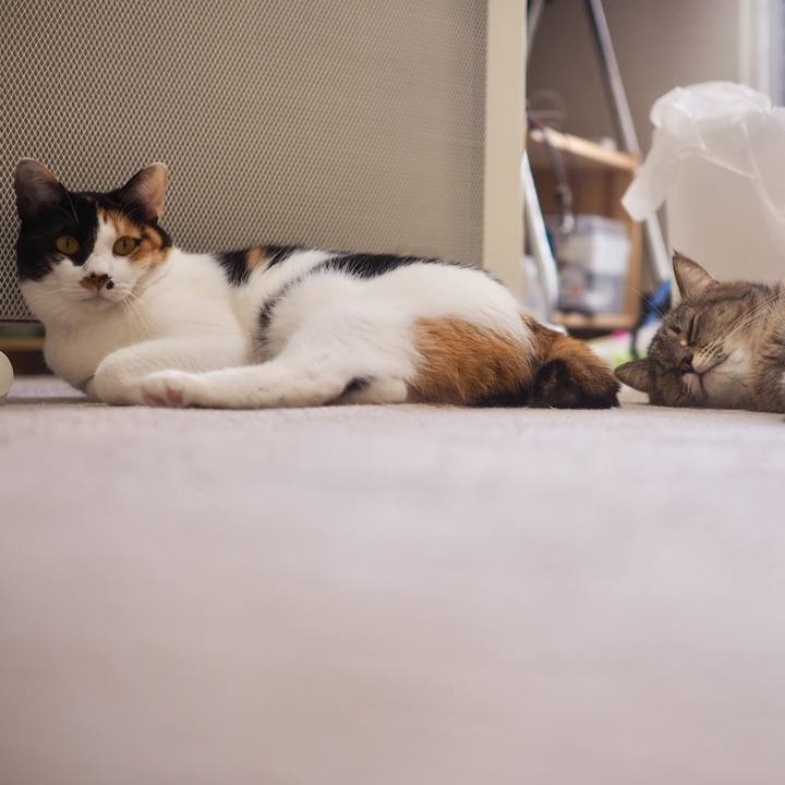 74eb07a8 4f5f 484f 877f 8c2c7241adc3 1518778588451