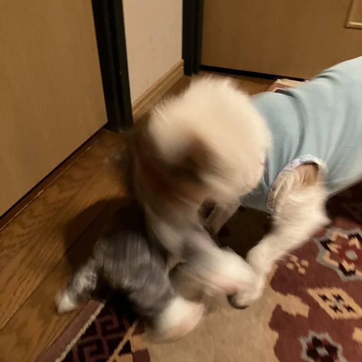 74eb1958 c14f 41b0 a5ed cbeb8dcbbc77 1686266508282