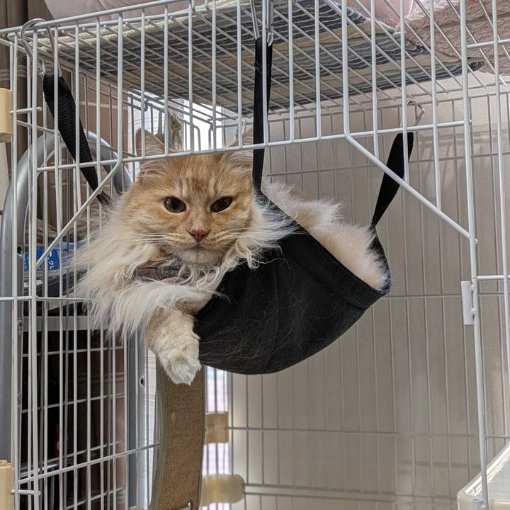 74eb2101 eee9 4619 b8b1 9f13d4504e61 1747622154652