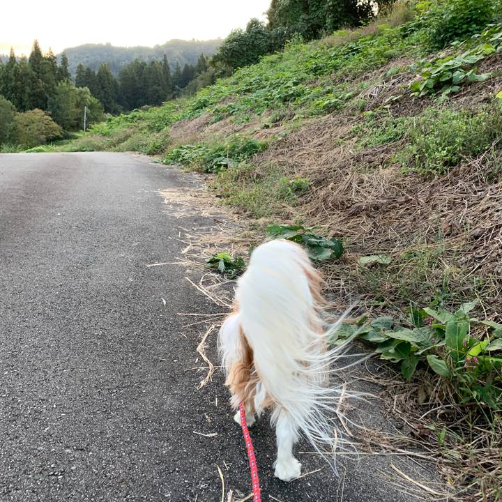 74eb4c16 f5d6 4721 b994 f4f76d8980e1 1571212672985