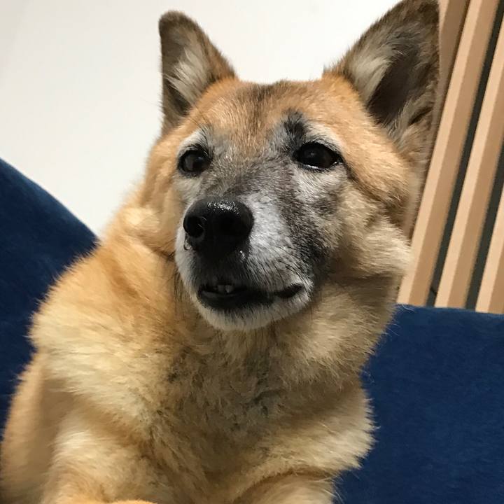 74eb59d5 83e4 455b 81f7 300df2c6f355 1508053468341