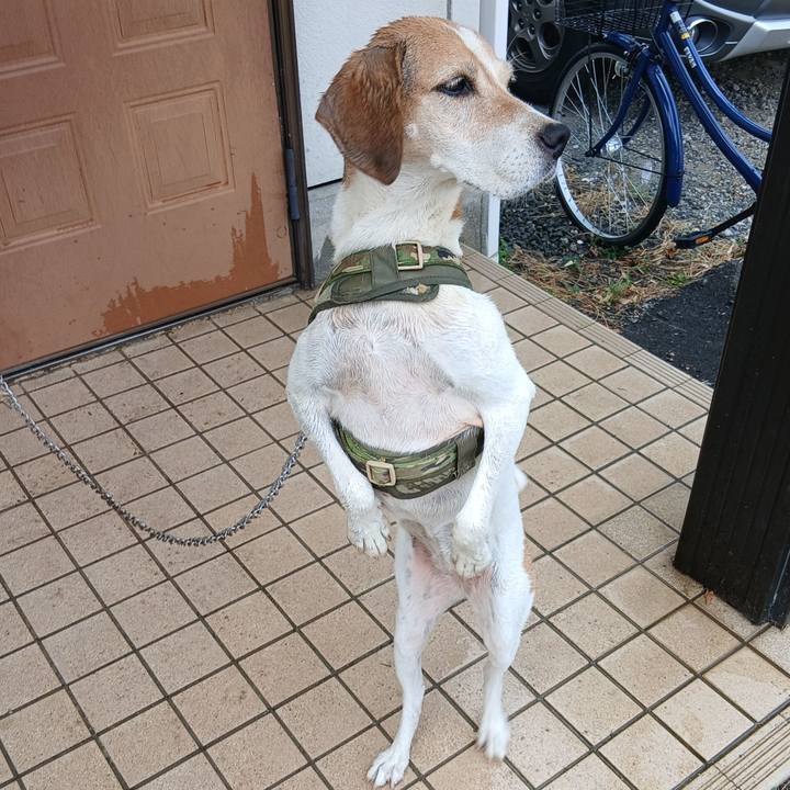 74eb74e0 a89c 4344 b75a 6b74e7defcf2 1756096089892