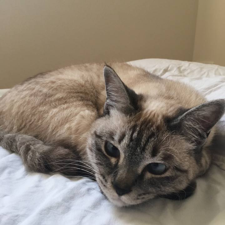 74eb8594 580e 4fa2 af6c 72a0ceb50688 1558850664942