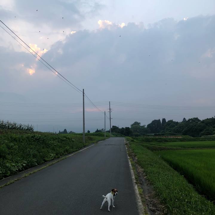 74ebc6aa 4a81 4ff1 8a6a c8a2af840e0a 1532086351729