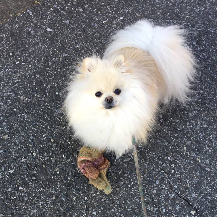 74ebdf30 e4f2 4161 95fb 2a03c83b2b69 1515825922052