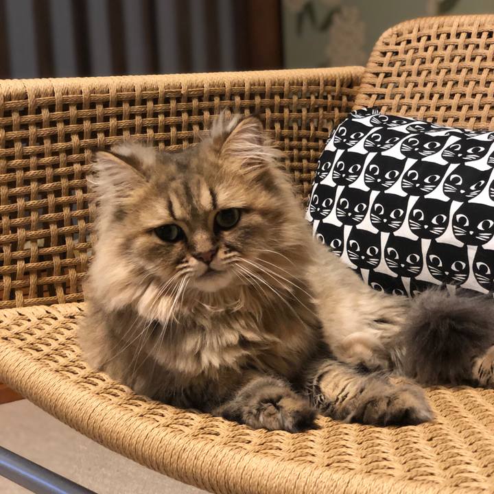 74ebf4dc d8b5 44e0 a0c9 8013fd603448 1566968240504