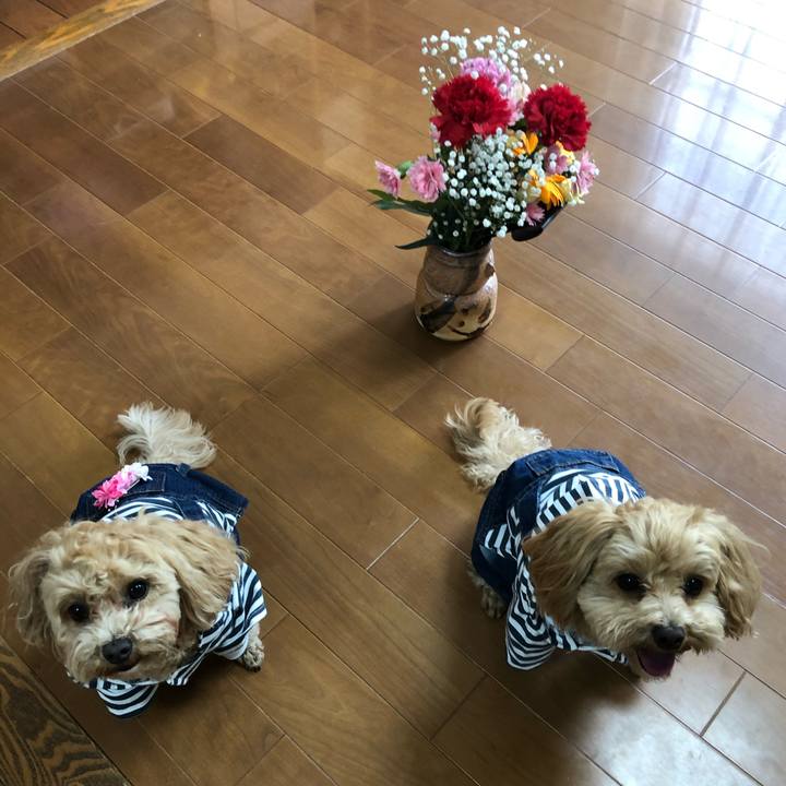 74ec09a5 614e 47aa 9bf0 a584f9b10e19 1620547766567