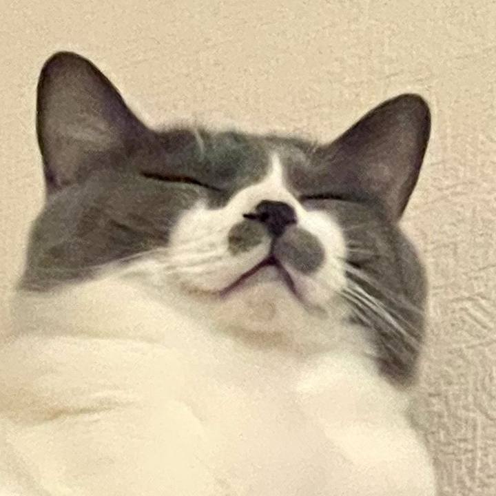 74ec198e e337 4909 bb91 42ebc3ff80ed 1692975094024