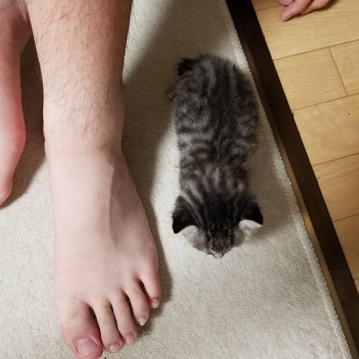 74ec19cb ce0b 4e7a 9220 49950fc80a2a 1659694856690