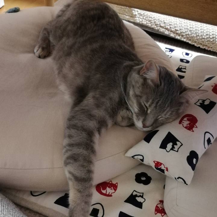 74ec4dfc 9d95 42d8 9f57 7c3dbcbea975 1524399200152