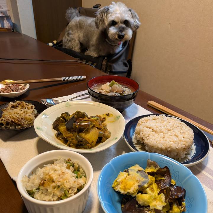 74ec61be 1823 453e a734 500d3560979e 1757595164516