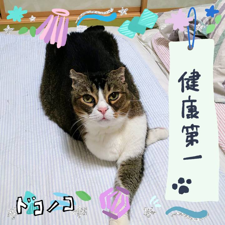 74ec7d5d 5fbe 4df5 8073 3b7e2149dcc9 1720800378066