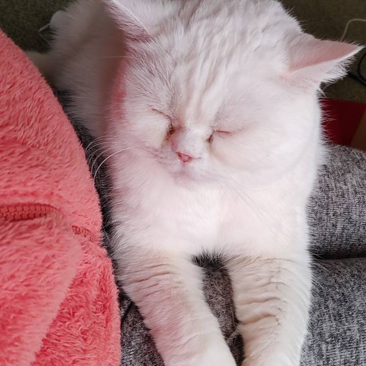 74ecd523 14a8 4dea 986a 4f01638f1437 1645324885262