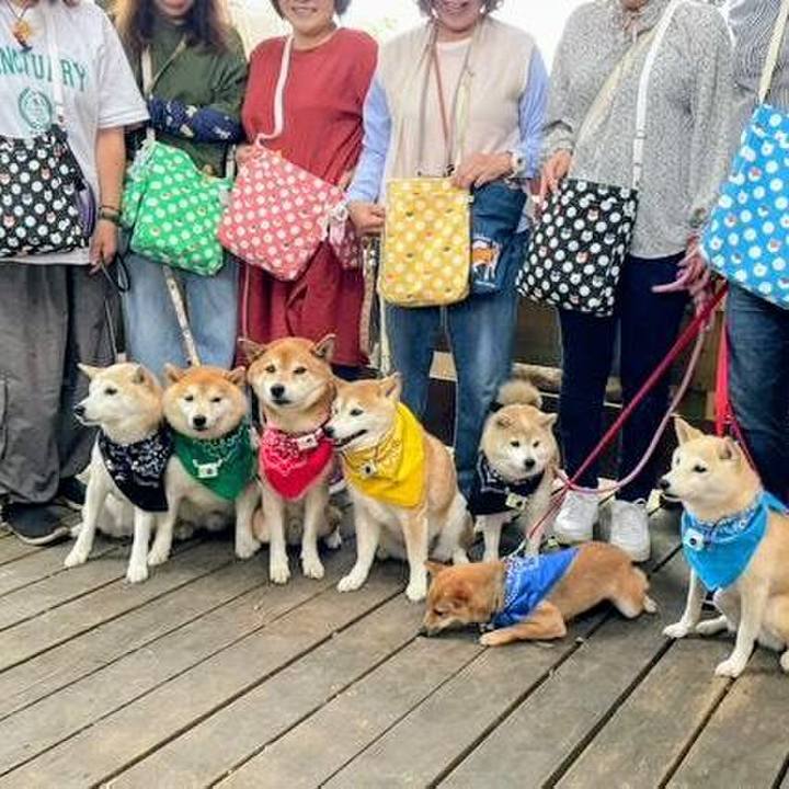 74ecd7bb c25a 4e16 b395 1d814fbc36f1 1760947667068