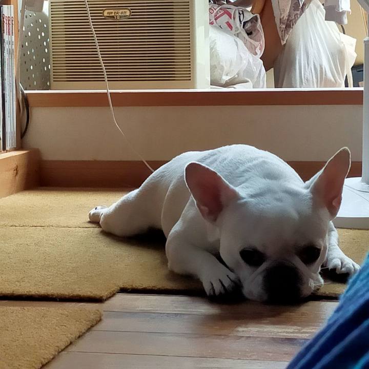 74ed0176 3cf5 45ed bcae 178fa7f7b7e0 1662241552888