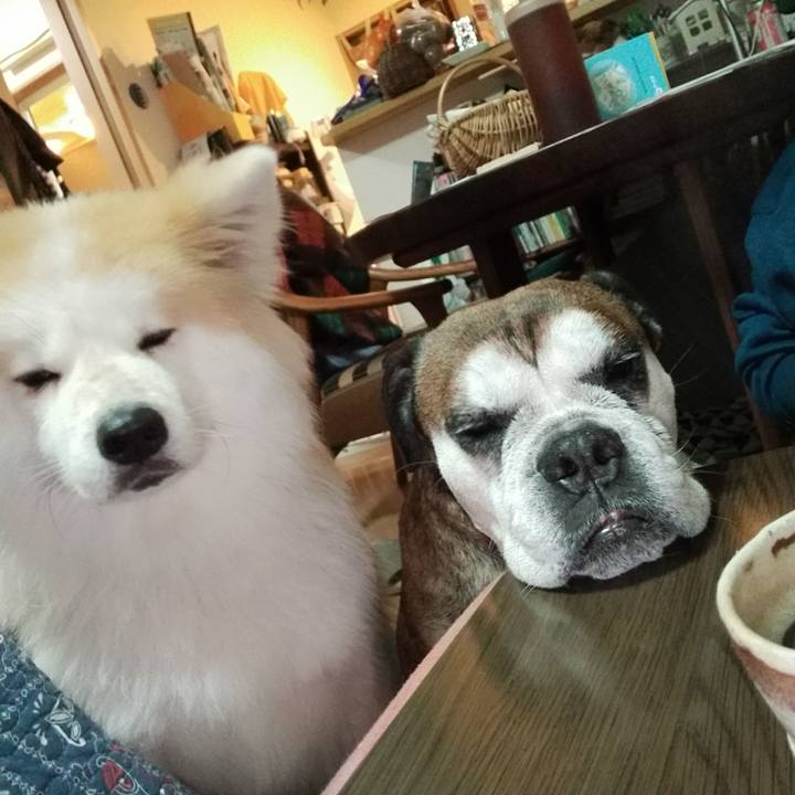 74ed0f0c 5d65 4309 ad12 efaf69c2af0c 1638879508064