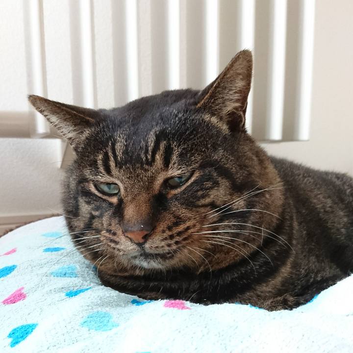 74ed36f5 7f1b 4dc7 8d76 b9c24be858fb 1548915226511