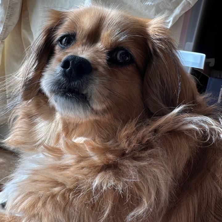 74ed4525 c90a 40e8 a684 bdc88566d13e 1679705930466