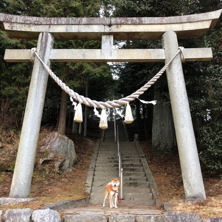 74ed56a0 72ec 4aa0 9042 90f61fd7ab3f 1519198541723