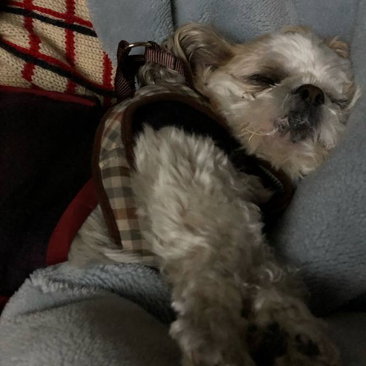 74ed606f 29c9 4843 bd68 47e5697358e4 1518557686215